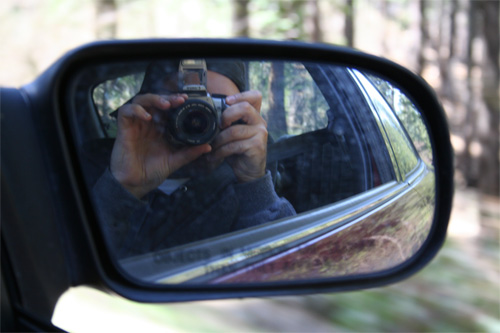 Coming Back From Lake Beardsley