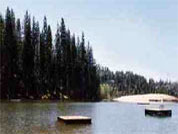 Twain Harte Lake