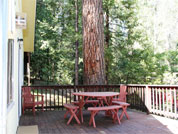 Twain Harte Cabin Back Porch