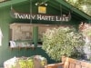 twain-harte-lake-office
