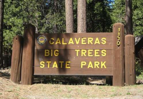 Calaveras Big Trees State Park Calaveras Big Trees State Park